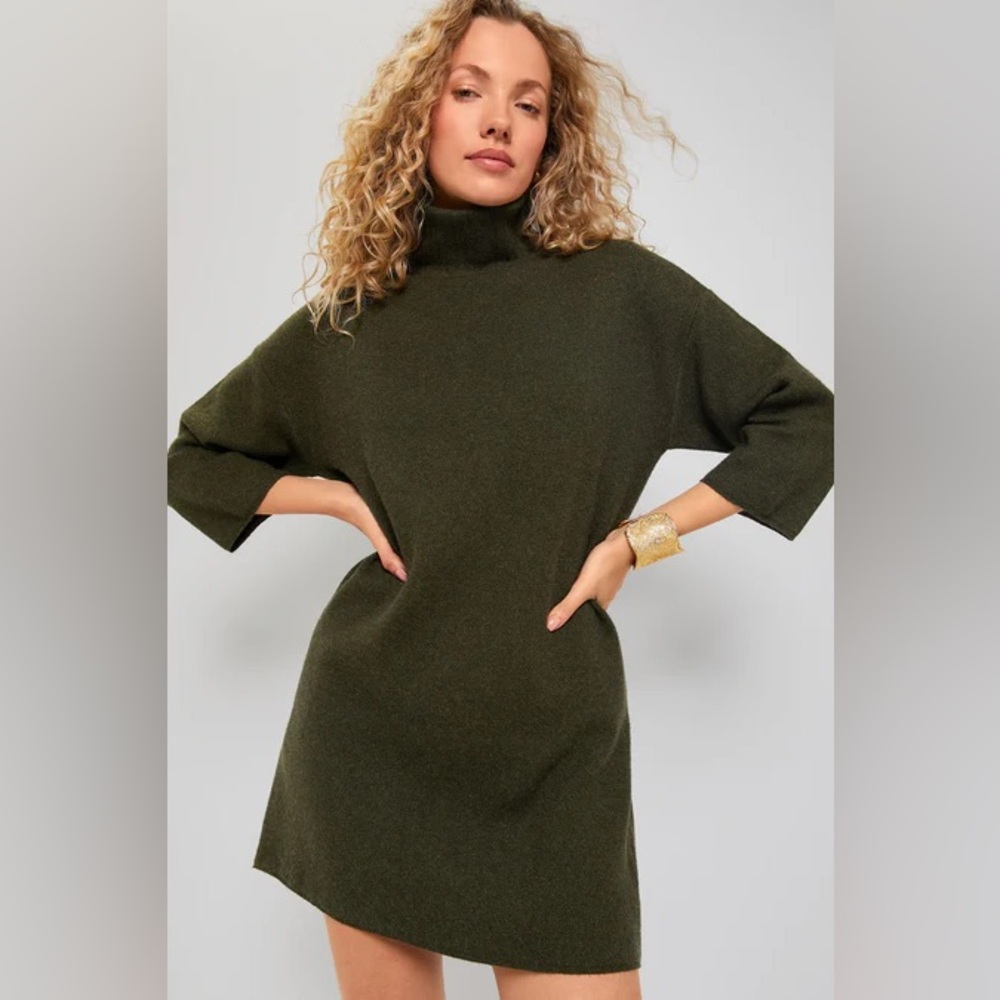 Tuckernuck Pomander Place Vivianne Turtleneck Sweater Dress